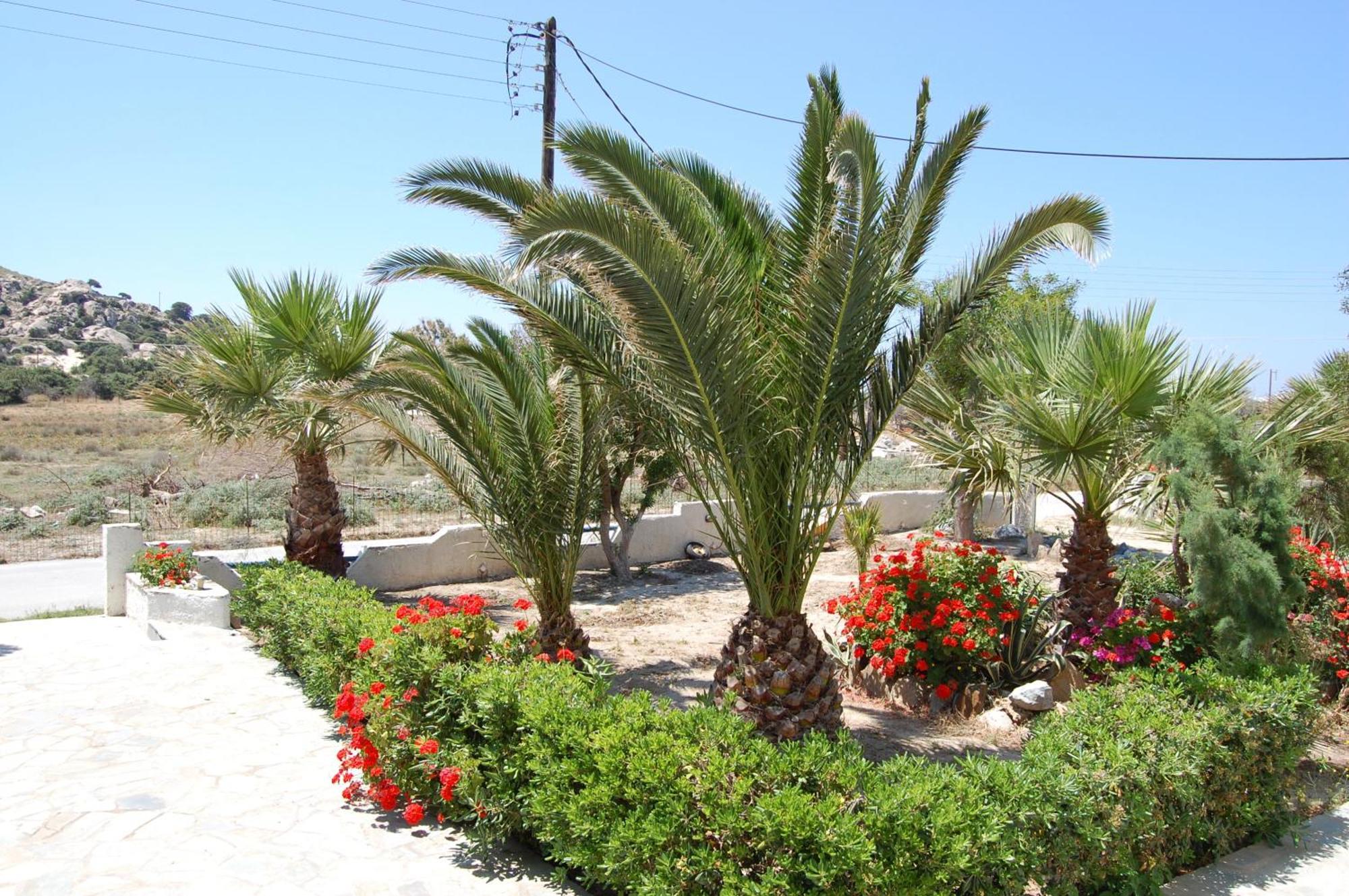 Coralli Beach Apartments Mikri Vigla Exterior photo